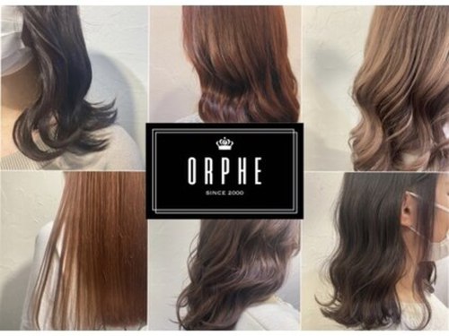 オルフェ(ORPHE)(北海道札幌市中央区南2条西18-291-31 A-BU BLD1F)