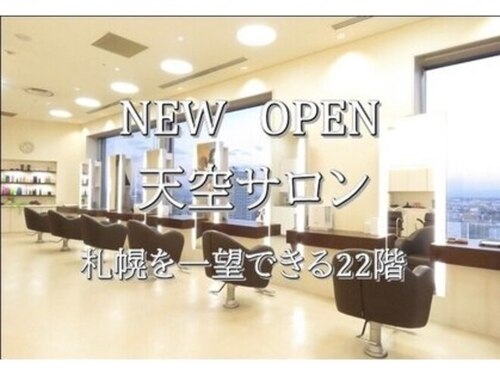 プラチナ アヴェダ(Platinum AVEDA)(北海道札幌市中央区北5条西2-5番地 JRタワーホテル日航札幌22階)