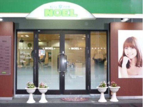 ノエル(NOEL)(北海道札幌市南区南33条西11-2-16号ミライBLDG.)