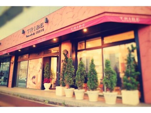 トライブ クリエートサロン(TRIBE create salon by SERVE)(北海道札幌市東区北22条東15-4-15)