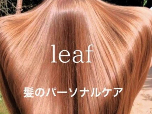 リーフ(leaf)(北海道札幌市中央区南9条西4-3-1 AMS TOWER 3103)