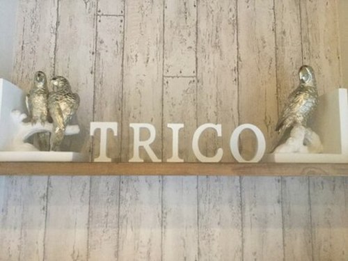 トリコ(trico)(北海道札幌市豊平区平岸3条13-7-19 第一平岸メインビル)