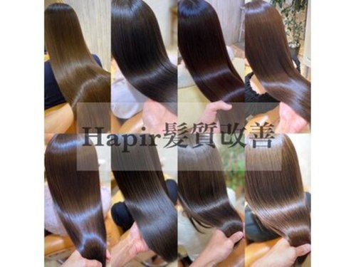 ヘアーラウンジ ハピル(Hair lounge Hapir)(北海道札幌市中央区南2条西3-12-5 K2スクエア(旧FCビル南2条)6F)