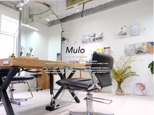 ムロ(Mulo)(北海道札幌市中央区南1条西24-1-17 桂和裏参道ビル2F)