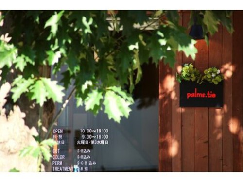 パームスタイ(palms.tie)(北海道札幌市豊平区平岸3条10-1-30)