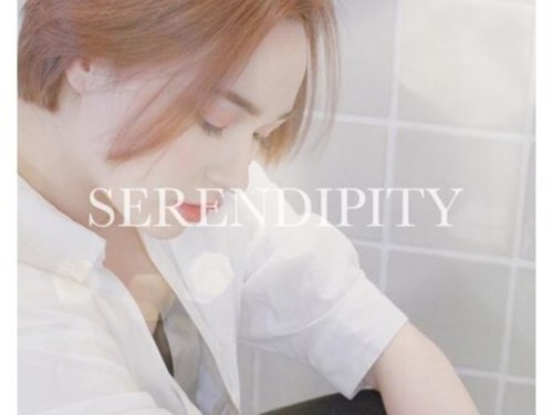 セレンディピティ(SERENDIPITY)(北海道江別市野幌町40-16)