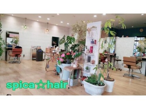 スピカヘアー(spica hair)(宮城県仙台市青葉区堤通雨宮町3-18-1F)