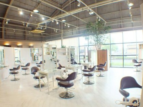 デイジーヘアアンドライフ 郡山店 (Daisy Hair&Life)(福島県郡山市巳六段210)