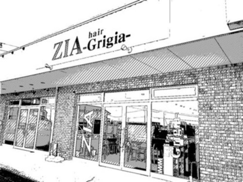 ジア ヘアグリージア(ZIA-hair Grigia-)(群馬県渋川市八木原1393BマークE)