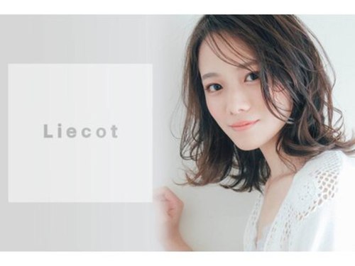 リコット 浦和美園(Liecot)(埼玉県さいたま市緑区美園6-9-7)