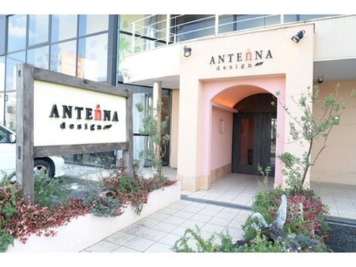 アンテナ デザインプラス 武蔵浦和店(ANTEnNA design+)(埼玉県さいたま市南区白幡3-12-16ツインビル1F)