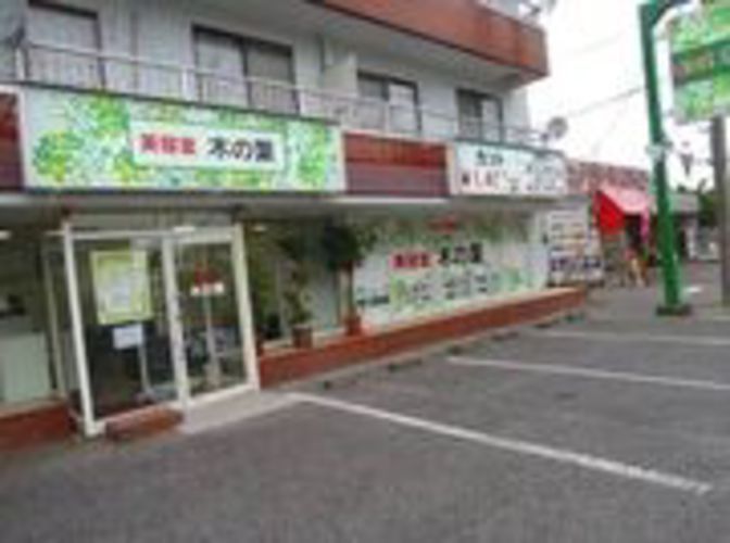 木の葉藤塚店(埼玉県春日部市本田町2-198)