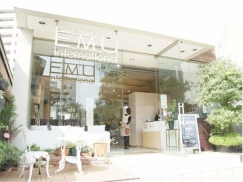 エム インターナショナル 春日部本店(EMU international)(埼玉県春日部市粕壁東1-9-9)