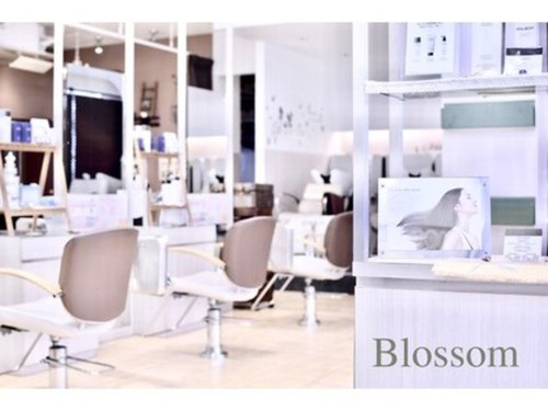ブロッサム 上尾店(Blossom)(埼玉県上尾市谷津2‐1‐50‐25 上尾モンシェリー1F)