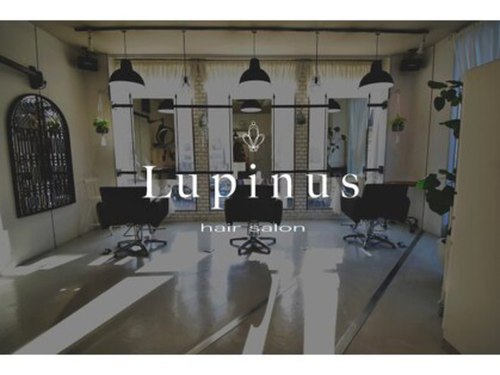 ルピナス(Lupinus)(埼玉県蕨市塚越1‐1みくにビル2F)