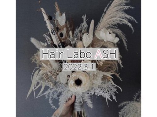 ヘアーラボ アッシュ(Hair Labo ASH)(千葉県千葉市中央区弁天町1-1-3鈴木ビル3F)