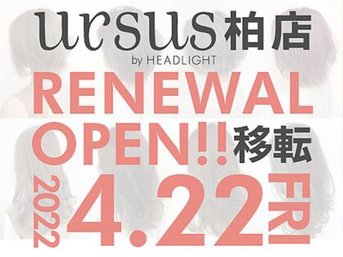 アーサス バイ ヘッドライト 柏店(ursus by HEADLIGHT)(千葉県柏市旭町1-14-13 サワモトビル2F)