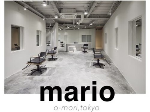 マリオ(mario)(東京都大田区大森北1-29-5 1F)