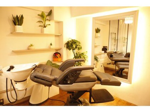 サロン ド テール(salon de TERRE)(東京都渋谷区千駄ヶ谷3‐27‐5 大橋ビル 1F)