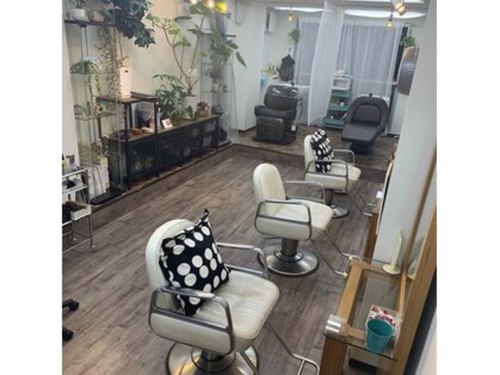 アジュガヘア(ajuga hair)(東京都渋谷区富ヶ谷1-53-3 Fビル 3F)