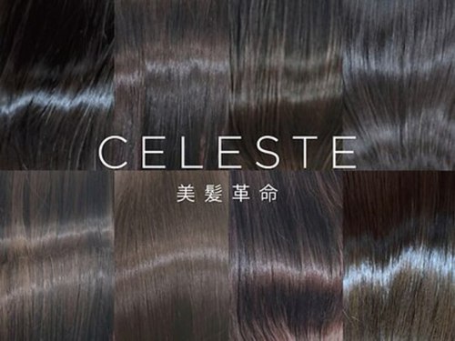 セレスト 恵比寿店(CELESTE)(東京都渋谷区恵比寿南3-1-27恵比寿中島ビル2F3F)