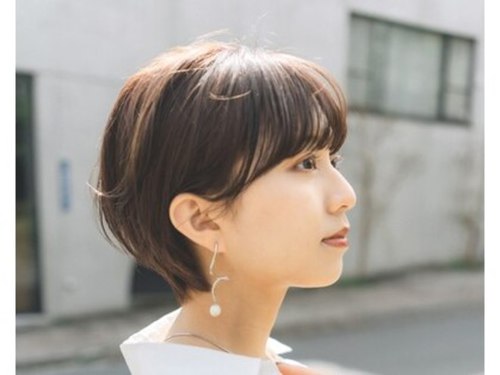ガーデンダブル(GARDEN W.)(東京都渋谷区神宮前5―6―4 C棟B1)