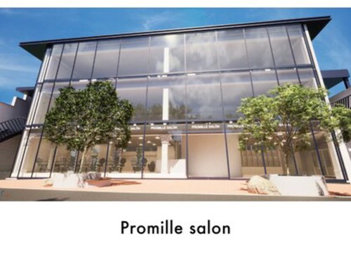プロミルサロン(Promille salon)(東京都渋谷区神宮前1-14-21 イルサリチェビル)