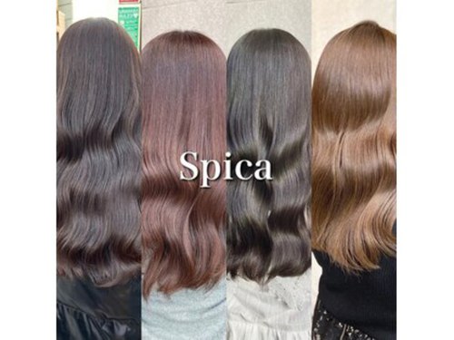 スピカ 表参道(Spica)(東京都渋谷区神宮前4-26-2 守谷ビル2階)