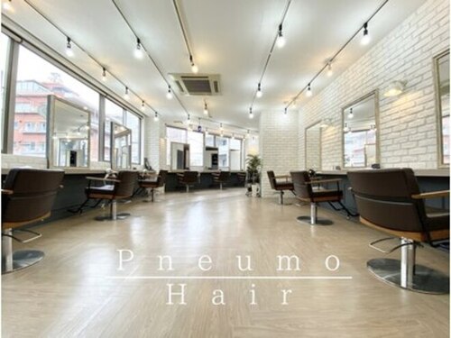 ニューモヘアー 立川(Pneumo hair)(東京都立川市錦町1-3-8 第二MKビル2F)