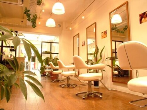 リーフヘアーデザイン(Leaf Hair Design)(神奈川県横浜市鶴見区豊岡町17-20 油井ビル1F)