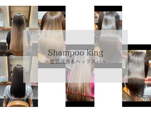 シャンプーキング(Shampoo king)(神奈川県横浜市港北区綱島西1-2-4-2F)