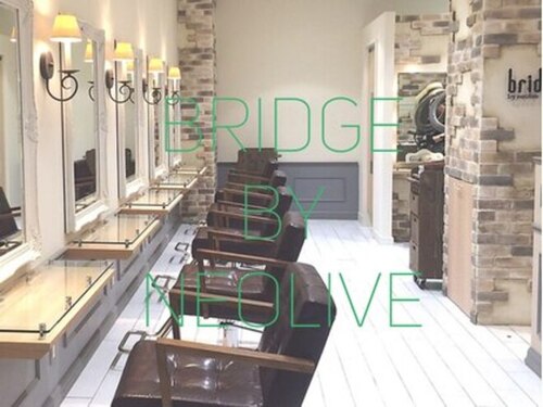 ブリッジ バイ ネオリーブ 綱島店(bridge by neolive)(神奈川県横浜市港北区綱島西1-6-12 綱島名店会館別館ビル12F)