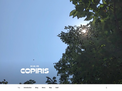 コピリス(神奈川県相模原市南区相模大野5-27-3)