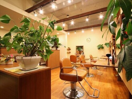 グランツ デザイナーズサロン(GLANZ Designer's Salon)(神奈川県横須賀市久里浜4‐8‐8ウエストポートビル1F)