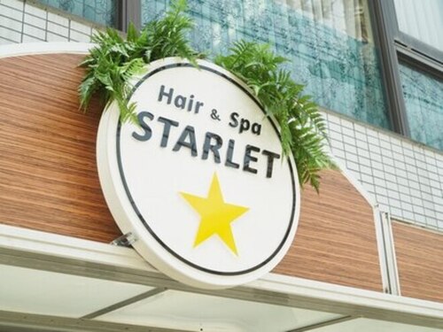 スターレット(STARLET)(神奈川県平塚市宮の前8-17)