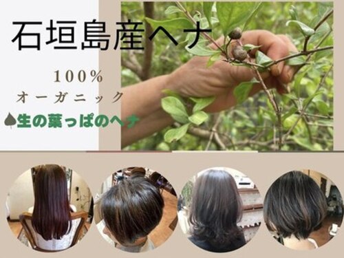 ルーチェ ヘアースタジオ(LUCE HAIR STUDIO)(神奈川県厚木市林1-11-4)