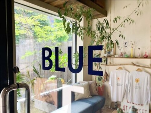 ブルー(BLUE)(新潟県新潟市中央区南万代町4‐24)