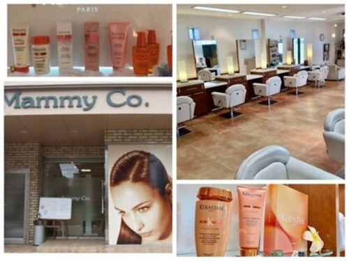 マミーコー 本店(Mammy Co.)(新潟県新潟市南区白根3086)