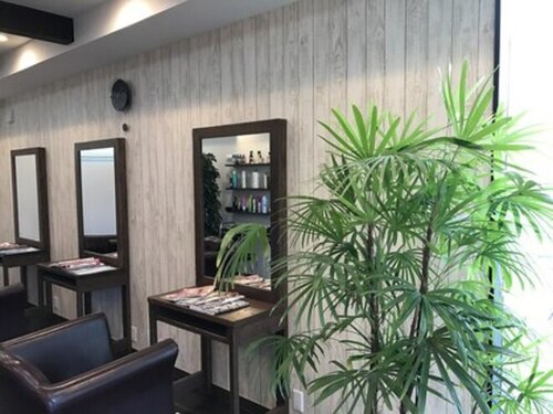 ヘアサロン ハール(HAIR SALON Haal)(長野県飯田市鼎西鼎591-8)