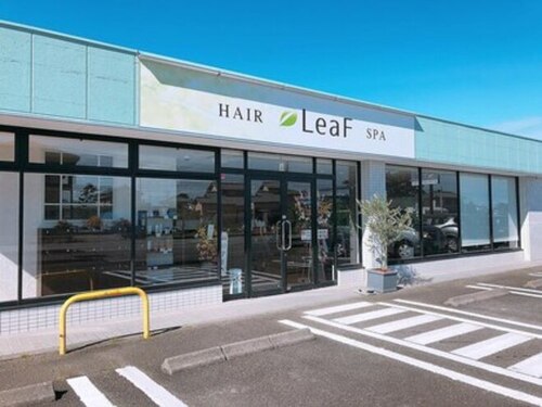 美容室 リーフ 島田店(LeaF)(静岡県藤枝市青南町5-5-41)