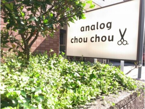 アナログシュシュ(analog chou chou)(愛知県名古屋市千種区小松町7-18 第2コマツハイツ 1B)