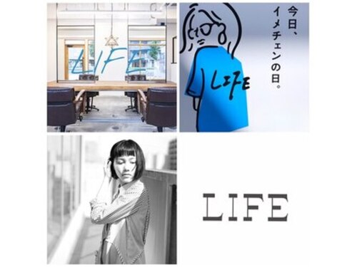 ライフ(LIFE)(愛知県名古屋市中村区太閤通9-25-2 ダイワシティ中村公園1F)
