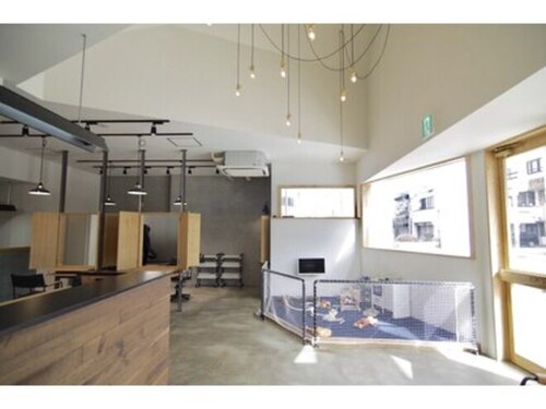 スーリール(souriiire)(愛知県名古屋市千種区猫洞通5-7)