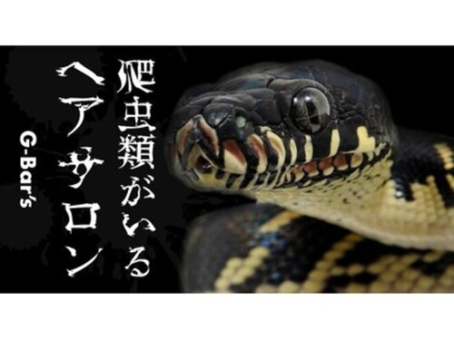ヘアーサロン ジーバーズ(G-Bar's)(愛知県名古屋市港区小碓4-473)