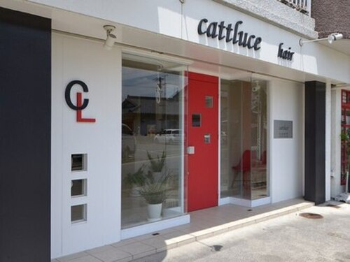 カトルーチェ(cattluce)(愛知県名古屋市中川区八田町2902)