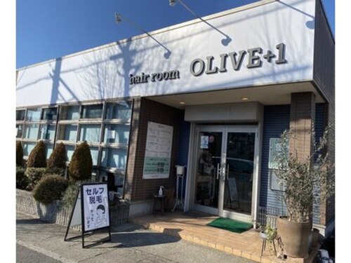 ヘアールーム オリーブ ワン(OLIVE+1)(愛知県名古屋市守山区森孝2‐141)