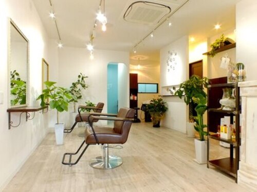ヘアーデザイン プラット(hair design PLATT)(愛知県名古屋市中村区若宮町1-29-2)