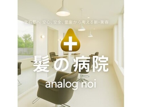 アナログノイ(analog noi)(愛知県名古屋市守山区深沢1-702)