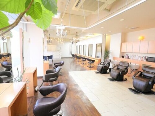 ミオ パーチェ ヘア(mio pace hair)(愛知県名古屋市中川区高畑1-213 喜和ビル 1F)