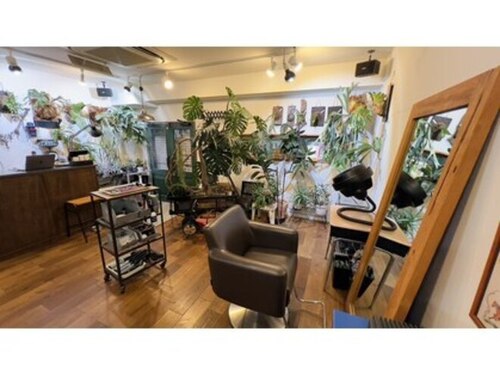 ビルドヘアー(BUILD HAIR)(愛知県名古屋市中川区高畑3-225 シャルダン三矢101)